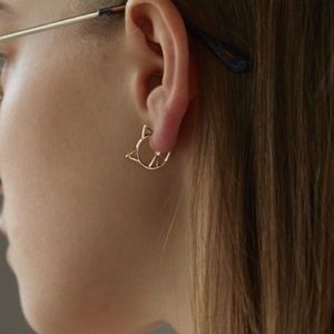 Cat designed earrings